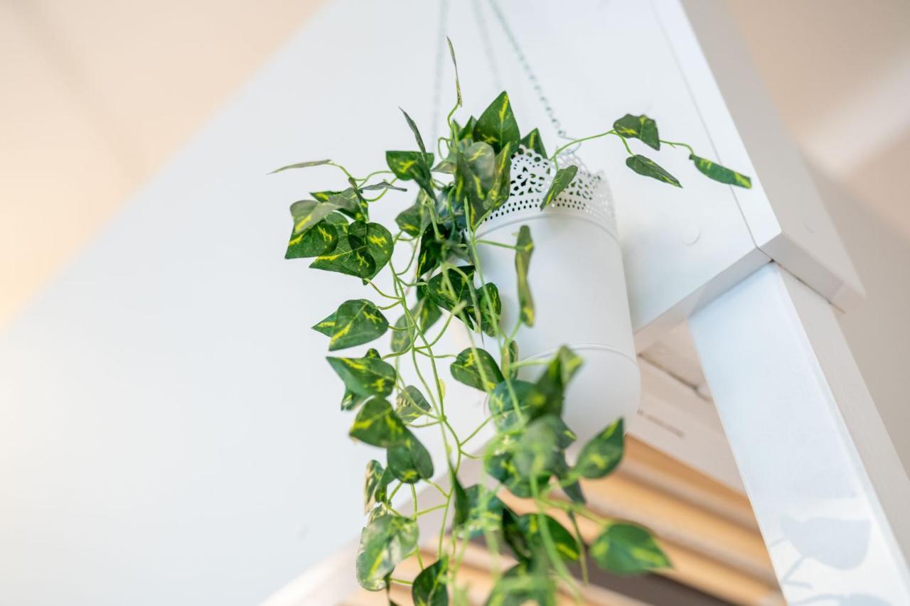 Cozy Modern Nest In The Heart Of Vienna With Netflix Lejlighed Eksteriør billede